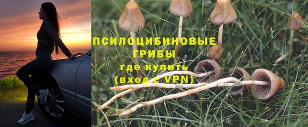 прущие крисы Алексин