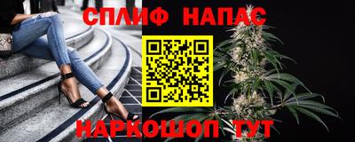 твердый Ставрополь
