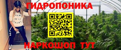 твердый Ставрополь