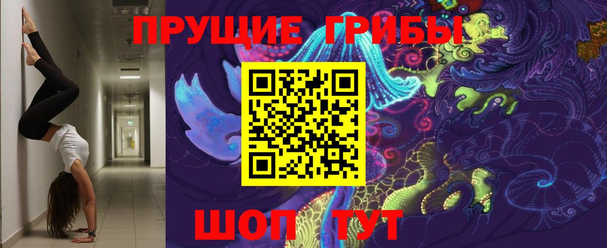 Тавда  Галлюциногенные грибы ЛСД  Псилоцибиновые грибы мицелий  Вход с VPN 