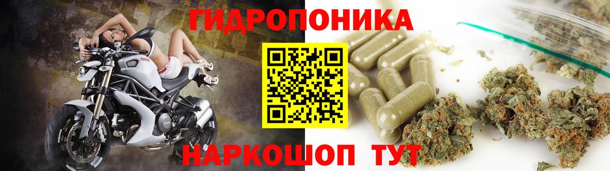 Канабис план Тавда